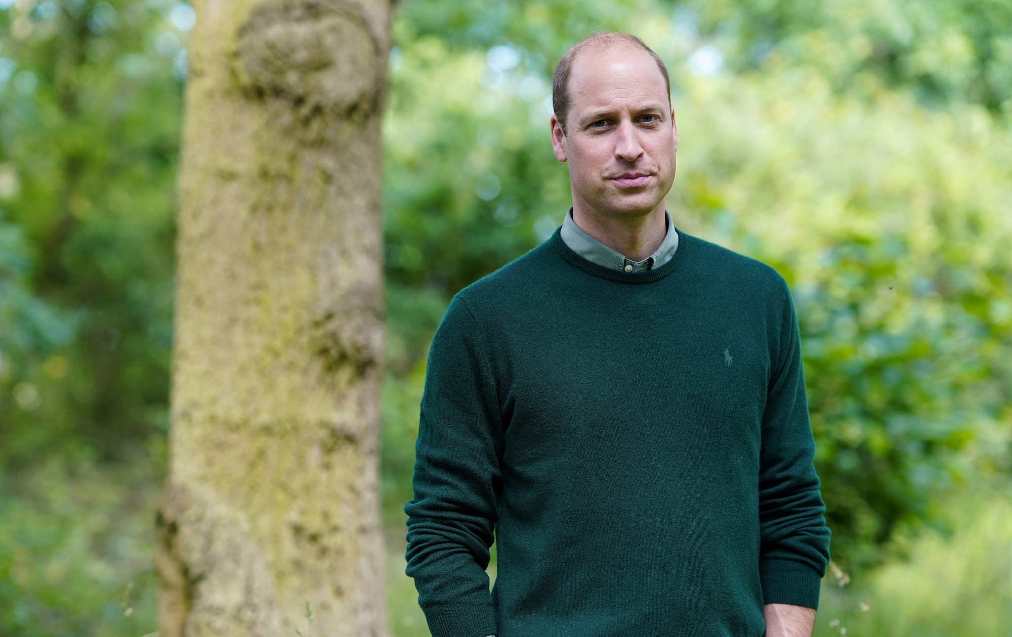 Outrage and shock after Prince William’s trees are deliberately poisoned